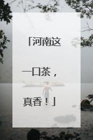 河南这一口茶，真香！